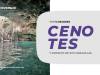 Top 5 mejores cenotes de Yucatán.