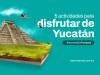 5 actividades para disfrutar de Yucatán