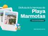 Playa marmotas, un tesoro escondido en la Costa Esmeralda de Yucatán