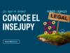 INSEJUPY ¿Qué es y cómo usarlo?
