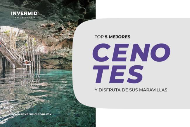 Top 5 mejores cenotes de Yucatán.