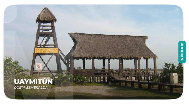 Descubre la costa esmeralda en Yucatán