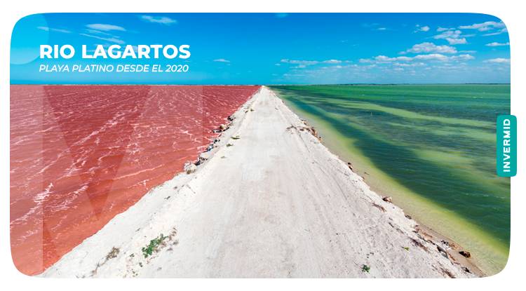 Conoce las playas platino de Yucatán