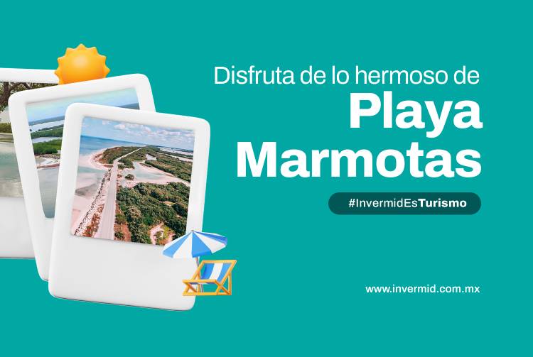 Playa marmotas, un tesoro escondido en la Costa Esmeralda de Yucatán