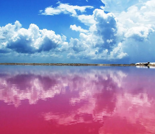 Laguna Rosa